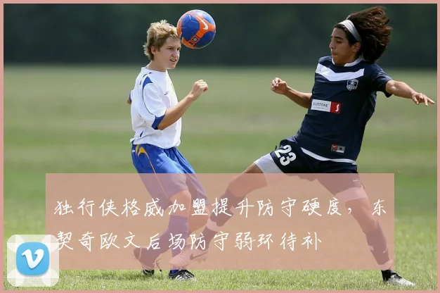 独行侠格威加盟提升防守硬度,东契奇欧文后场防守弱环待补
